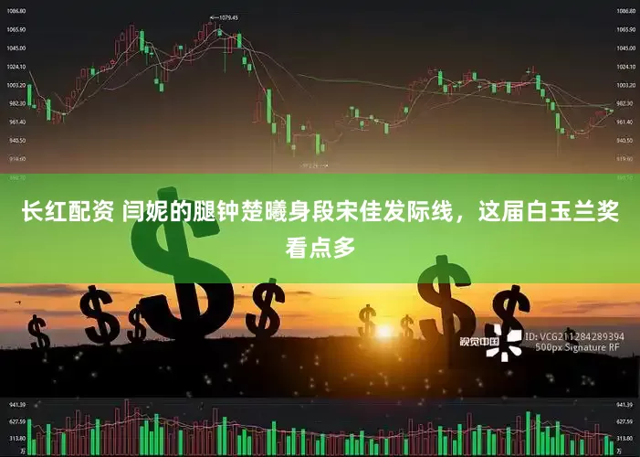 长红配资 闫妮的腿钟楚曦身段宋佳发际线，这届白玉兰奖看点多